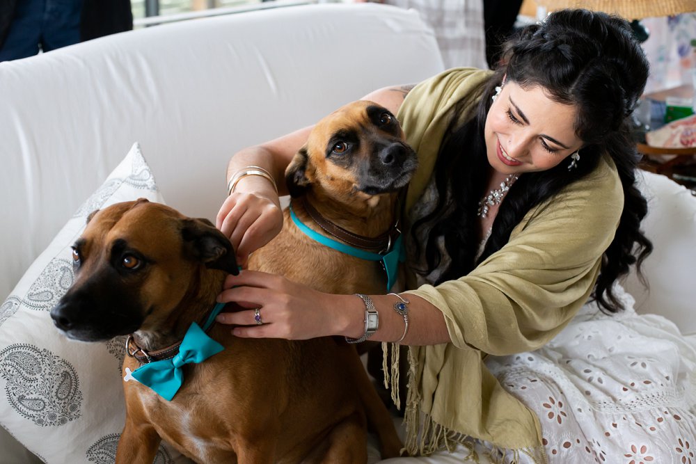 intimate beach wedding getting the dogs ready