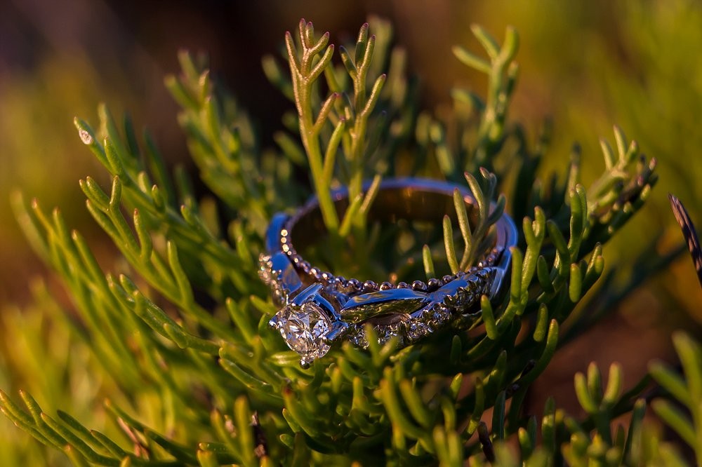 Cape Town Table Mountain Proposal Photography 005