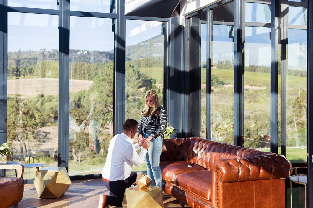 Cape Town Wine Farm Proposal Photography 002